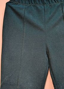 Sea Green Formal Bootcut Pant