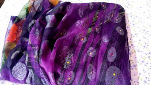 Pure Chiffon Saree 2