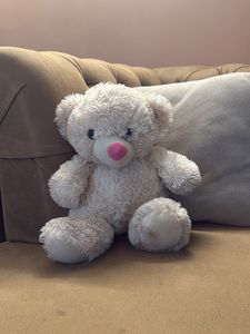 Adorable Plush Teddy Bear Duo