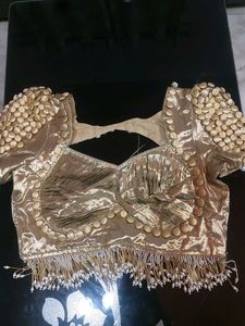 Gold Embellished Blouse and saree