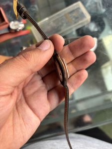HMT Kapila With Original Box