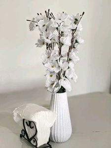 Pack Of 2 White Pinterest Aesthetic Vases