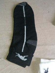 Whippet Sport Ankle Socks