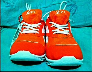 Athletes Sport Shoes for Players