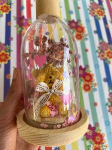 Teddy Bear Dome Showpiece