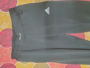 Black Yoga Or Gym Bottomwear