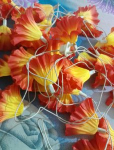 Shaded Flowers String Light
