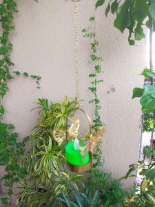 Golden Butterfly Tealight Holder Hanging