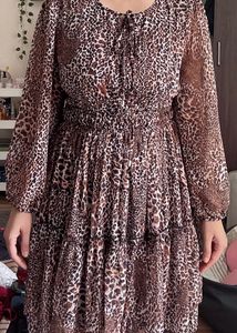 Zara Leopard Print Dress