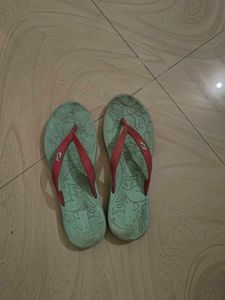 Blue Slipper