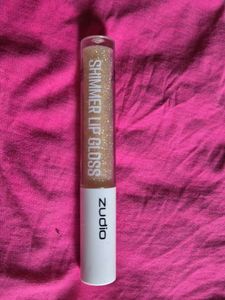 Zudio Shimmer Lip Gloss
