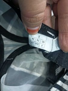 Striped Lace Bra 34E