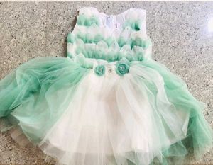 Mint Green and White Tulle Dress