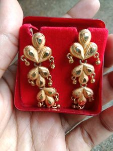 Elegant Gold-toned Earrings
