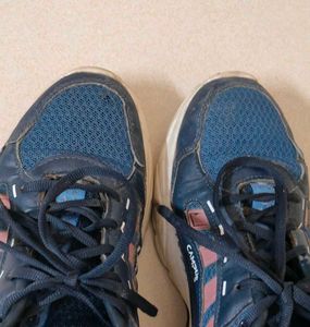 ⛹🏻‍♀️Campus Navy Blue Sport Shoes