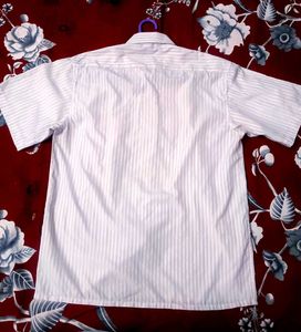 Striped Short Sleeve Shirt