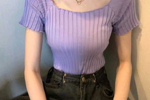 Korean Style Leavender Crop Top