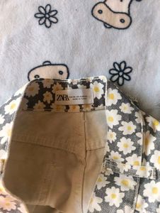 Zara Shorts