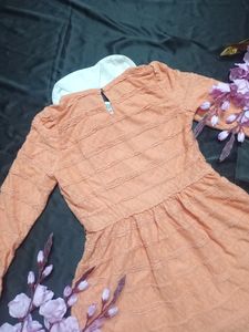 Vintage Dark Peach Lace Dress with collar
