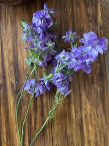 Purple Flowers