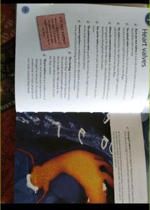 Educational Book Mini Encyclopedia- Body