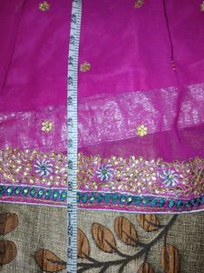 Pink Lehenga Choli