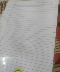 A4 Sheets + (Free Stick File)