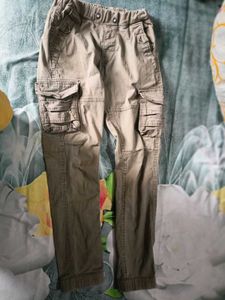Green Olives Nd Black Cargo Pants