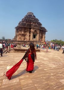 Elegant Red Saree blouse not included