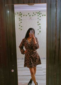Leopard Print Mini Dress