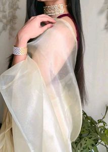 Organza Beige Saree