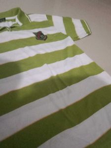 Striped Polo Shirt - Green &amp; White