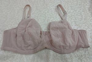 net and velvet type design