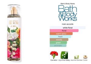 Bath &amp; Body works Brightest Bloom Mist