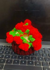 Brand New Handmade Crochet Rose Flower Pot