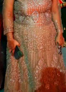 Elegant Embellished Ethnic Gown