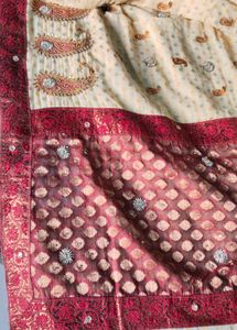 Elegant Embroidered Saree