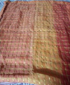 Orange &amp; Gold Checkered Saree