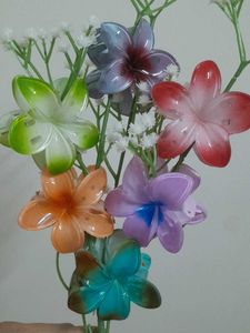 Pulmeria Flower Claw Clips 6