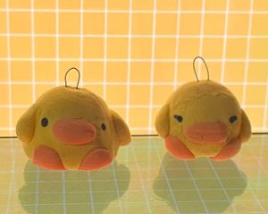 2 Cute Couple Ducks