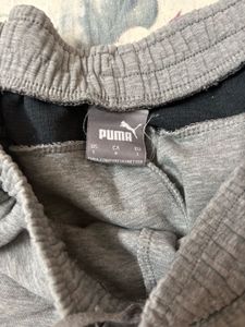 Puma Gray Shorts