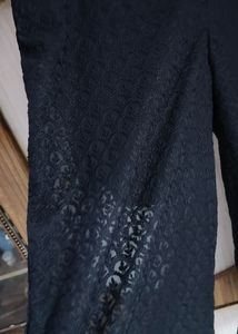 Net Plazzo Pant