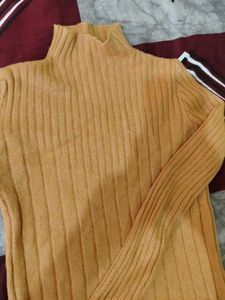 Winter High Neck Top