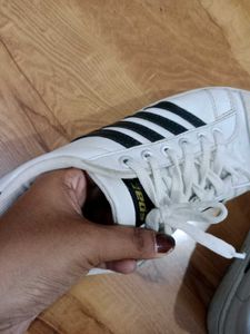 Sparx Brand Sneakers For Womens