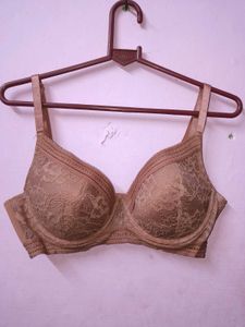 New Lace Detail Everyday Bra