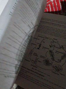 Microbes &amp; Plant Diversity - B.Sc. Botany