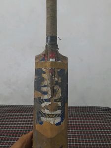 Barun Kashmiri Willow Bat