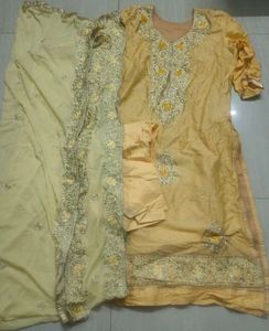 Elegant Ethnic Salwar Suit