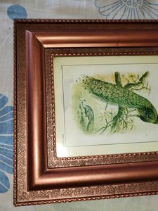 Framed Peacock Print🎉🎊🎊