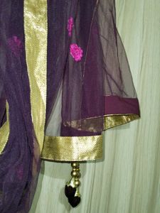 Beautiful Net Duppatta For Womens